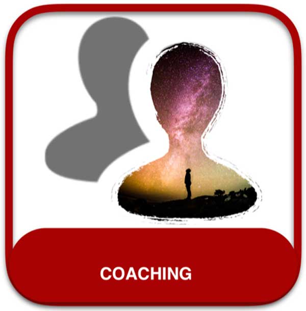 integral coaching